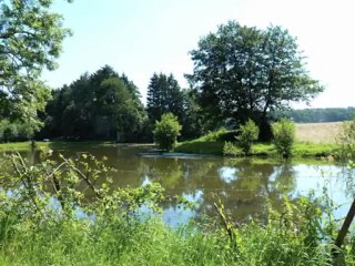 eppe-sauvage en photos