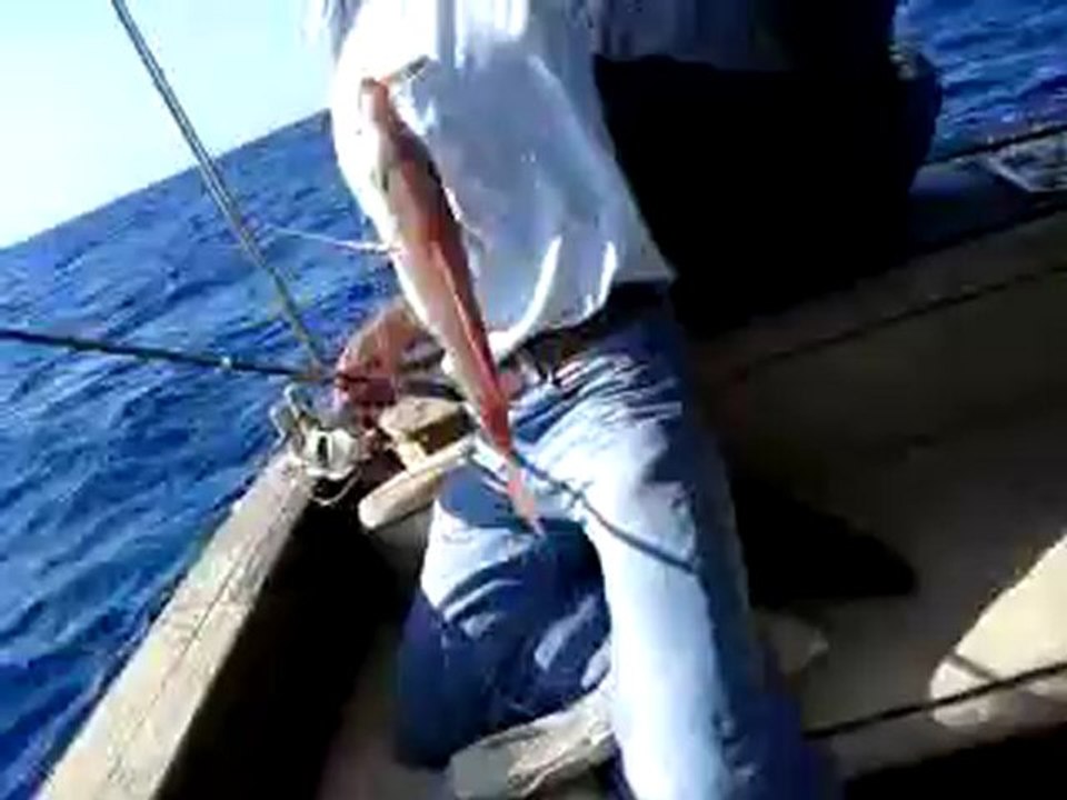 13.08.2012