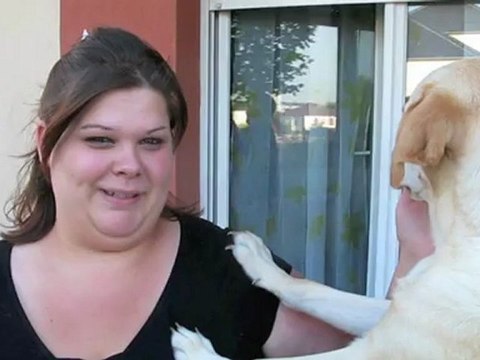 Concours canin: Vanille de Saint-Just-en-Chaussée, reine de beauté