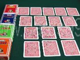 Cartes marquées：Modiano Texas Holdem