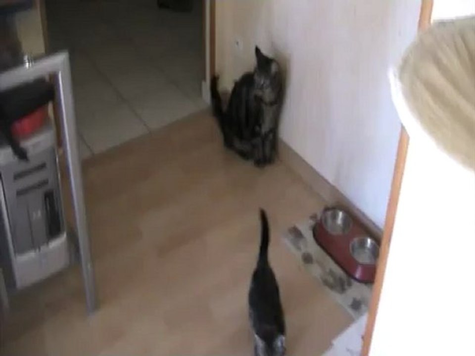 25 07 12 Sorti et Sherkan 01