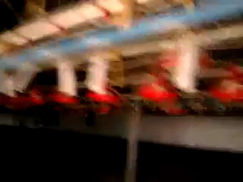 HAZER EMLAK TEL_ 0546 851 6657 KİRALIK TAVUK ÇİFTLİĞİ