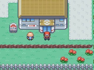 The Pokémon Story : pokémon vert feuille - épisode 17