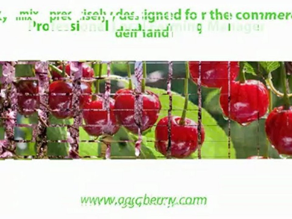 Global Green Cherry - Discover the potential of Cherry Farming