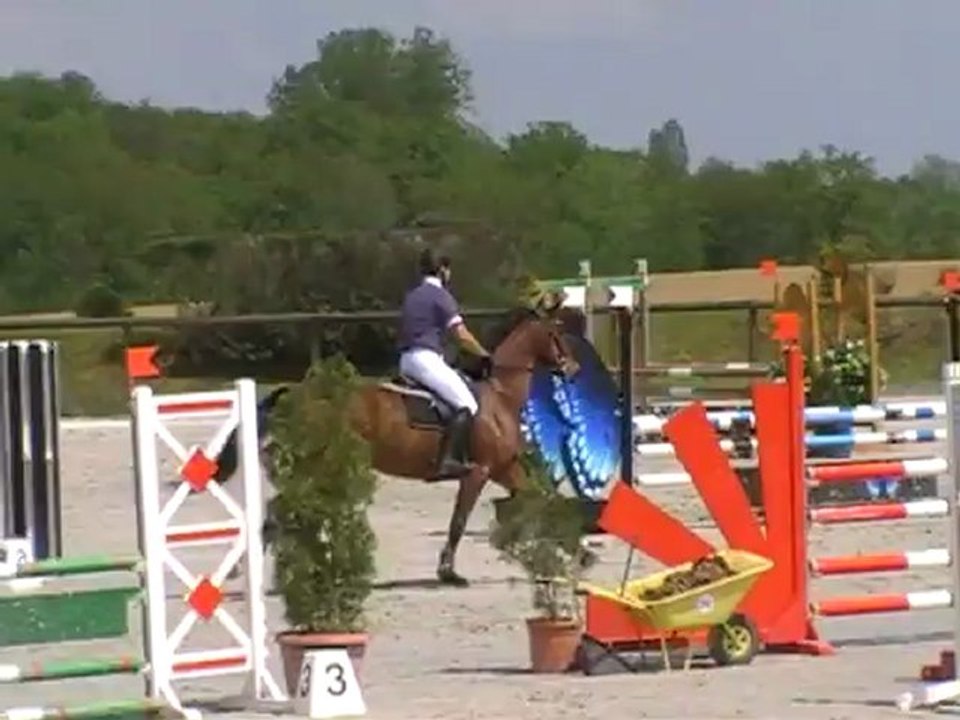 Tamarillo CL1 le 11-05-12