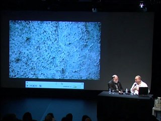 Miquel Barceló. Entretien avec Alberto Manguel