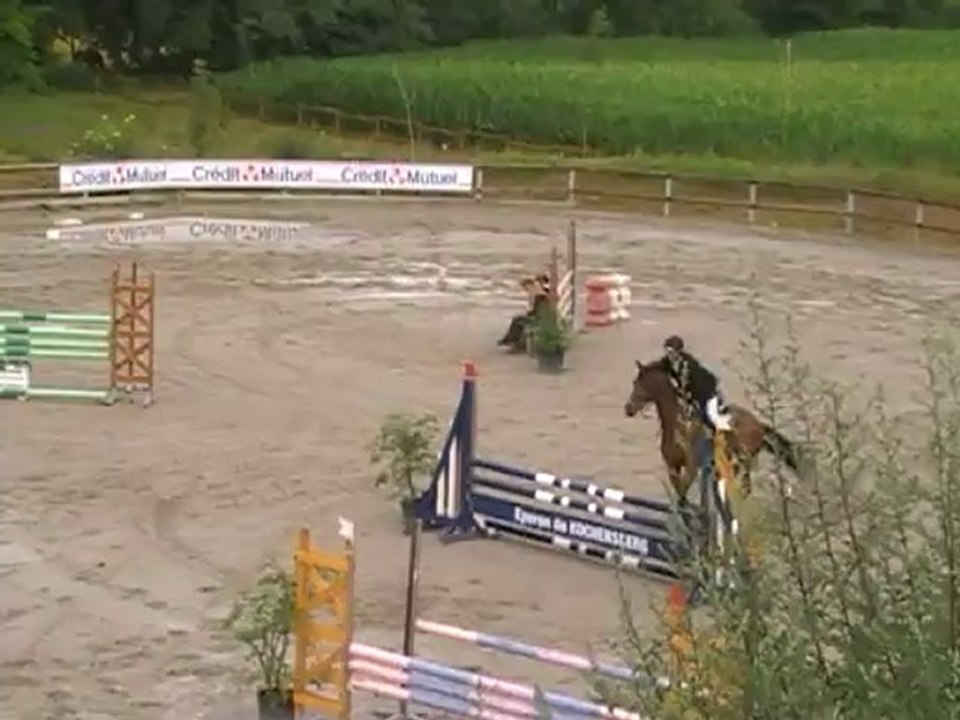 Tamarillo CL1 le 06-07-12