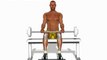 Exercices Musculation mollets assis avec barre