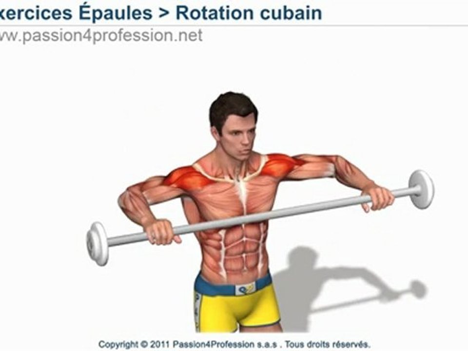 Exercices coiffe des rotateurs: Rotation cubain