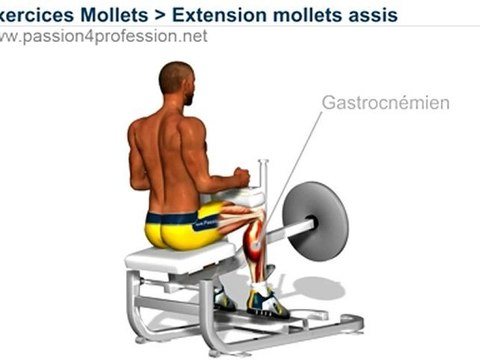 Extension mollets assis (musculation mollets)