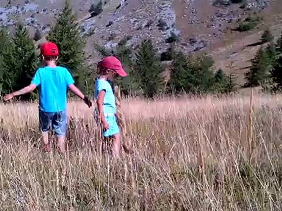 GoCanada 20120813 sauterelles ;o)