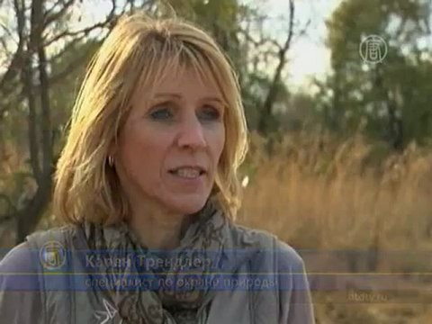 Приют для сирот-носорогов открылся в ЮАР