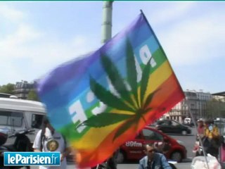 Dépénalisation du cannabis : des avis partagés