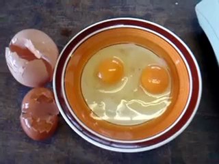 Galinha põe ovo gigante... com bónus