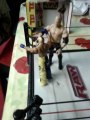 royal rumble : kane vs rey mysterio figurine