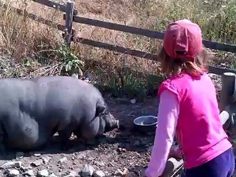 GoCanada 20120813 Tagada