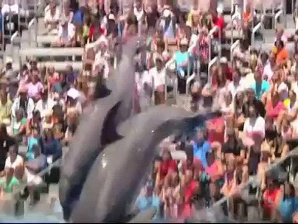 Jacky Bracamontes @jackybrv -Visit California||Diversion En Familia