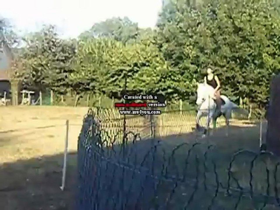 Détente de Mirabelle, au galop