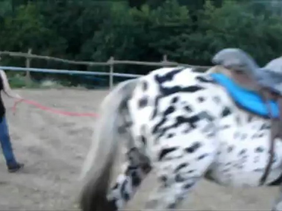 video longe carriere