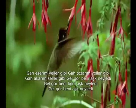 mctuncer - gel gör beni aşk neyledi ilahi dinle