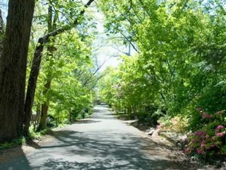 Greentree Village Apartments in Knoxville, TN - ForRent.com