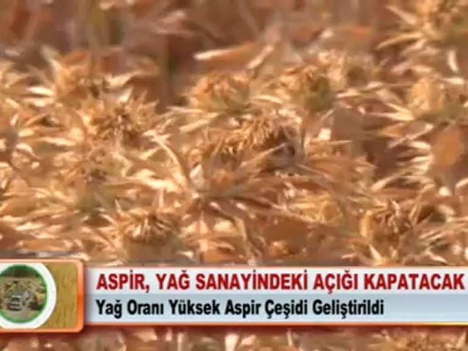 ASPİR, YAĞ SANAYİNDEKİ AÇIĞI KAPATACAK