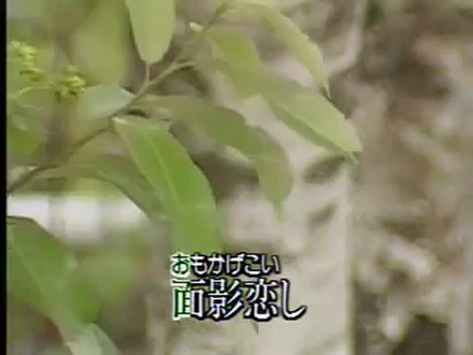 高原の宿‐林伊佐緒