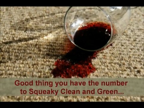 Carpet and House Cleaning Services in Philadelphia | Squeaky Clean and Green