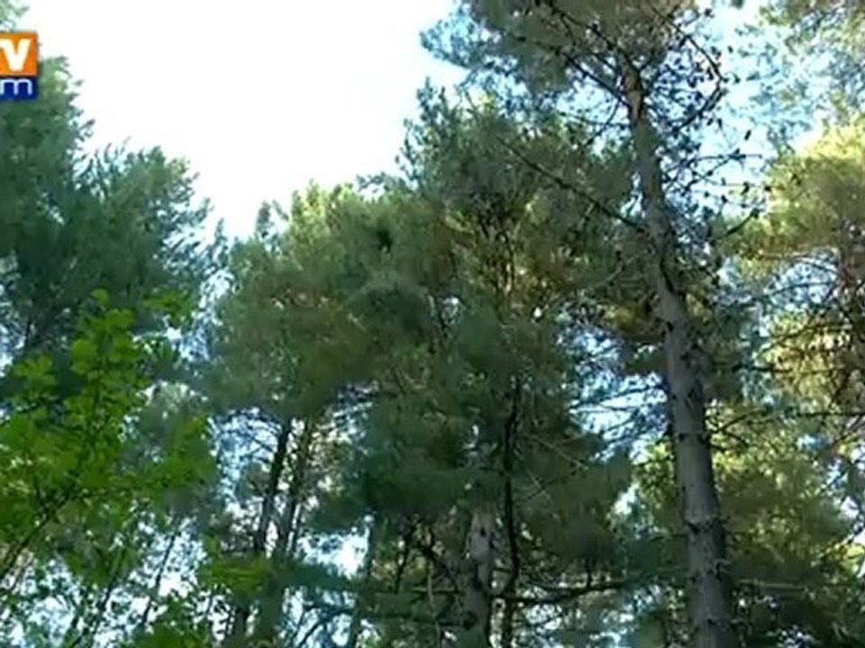 Les wwoofers ont aussi des moments de détente