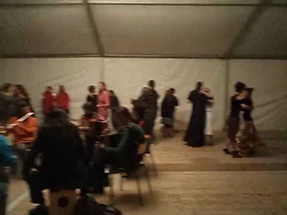 Valse 1  - Boeuf, Gennetines 2012