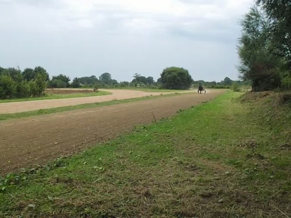 ADAMS à l'entraînement, 15 août 2012