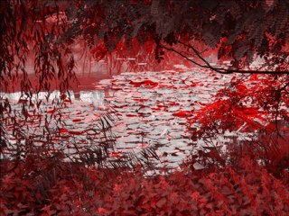 L'Immortalité (III)  - discussion suite à (I) et (II) (version courte)