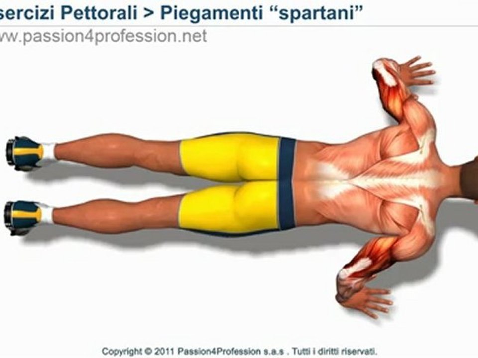 Allenamento spartani: piegamenti