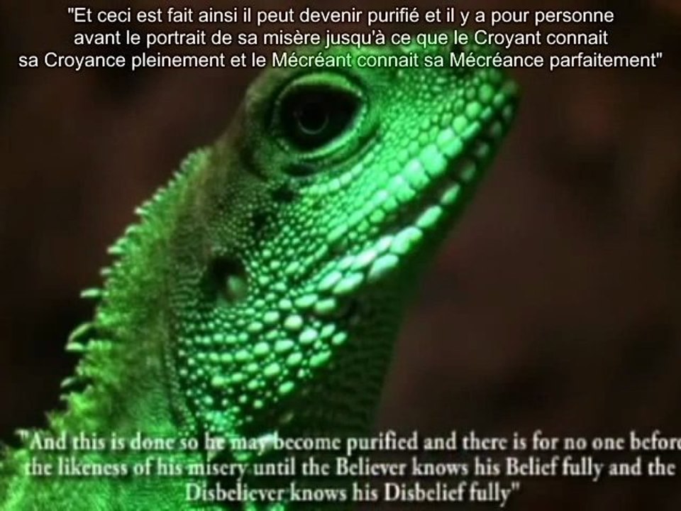 E.128 - L'Antéchrist Dajjal Sera Un Reptilien Métamorphe S.2