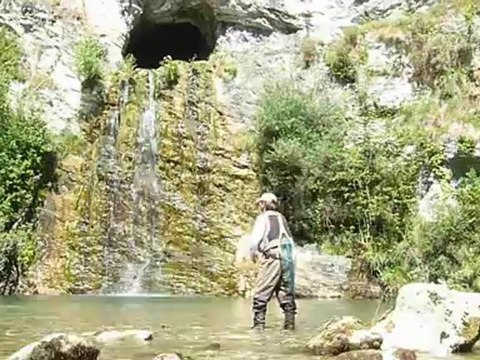 Truites des Gaves d'Aspe et d'Ossau en mouche sèche