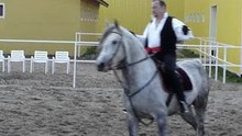 show equestre