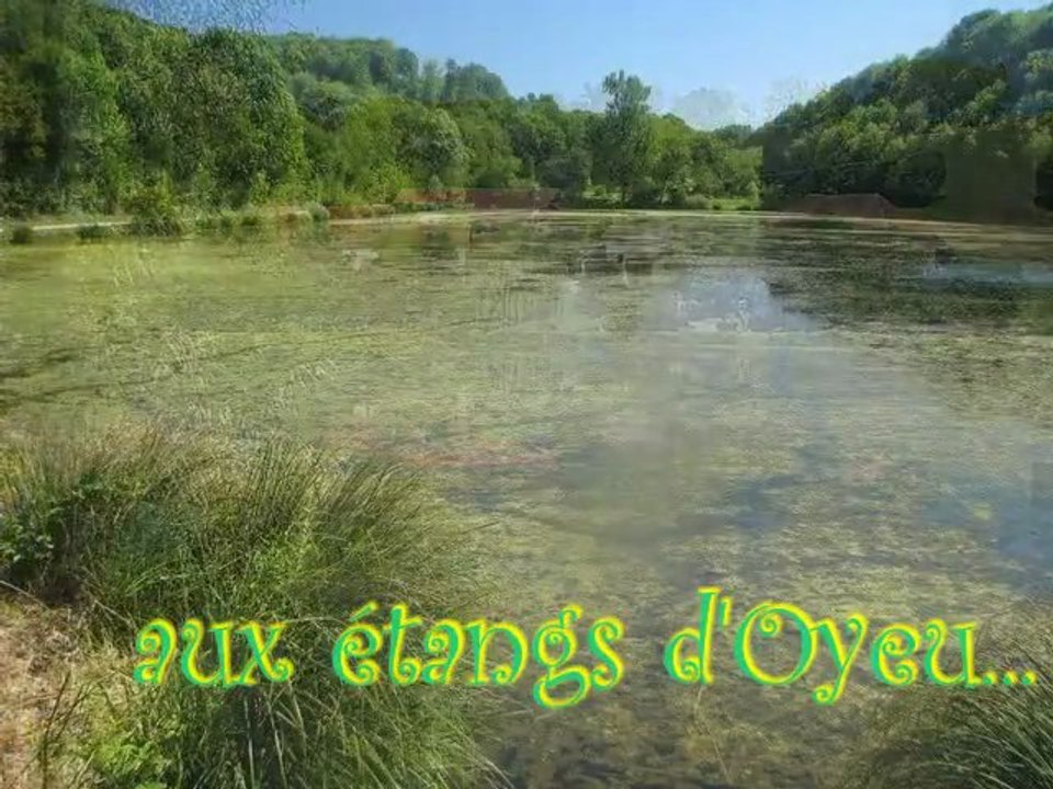 Aux étangs d'Oyeu.
