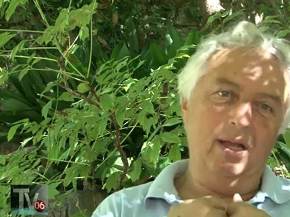 Robin Davis