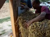 Mise en place de la première botte de paille