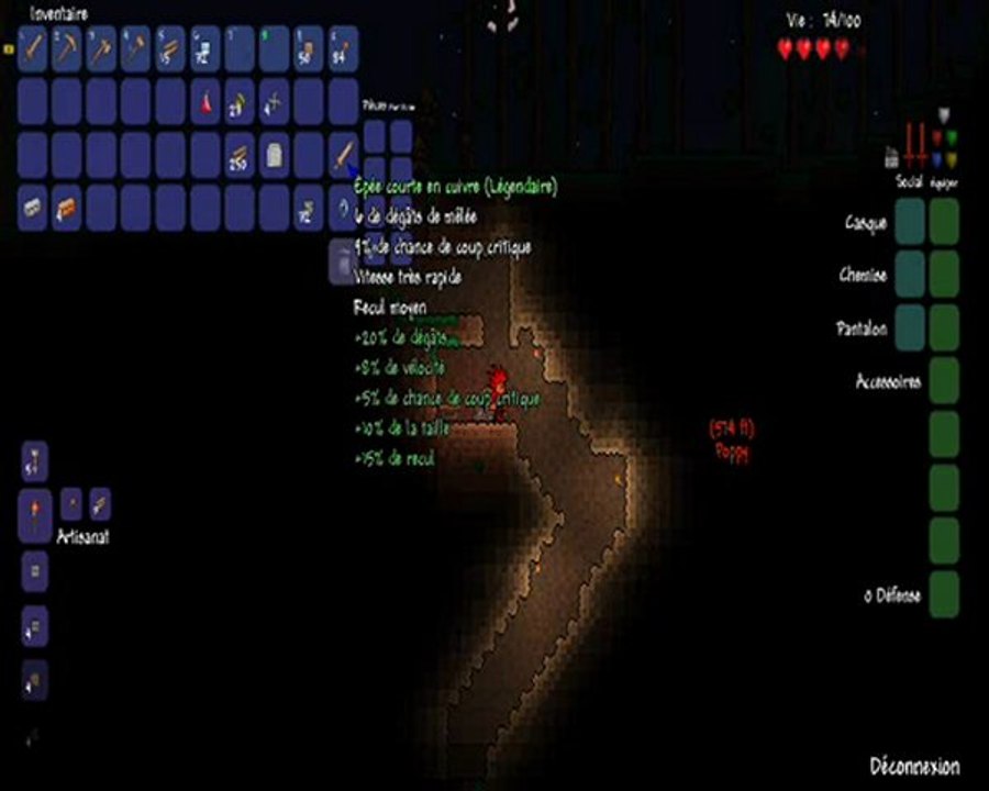 mon aventure survie térraria avec mon ami poppy