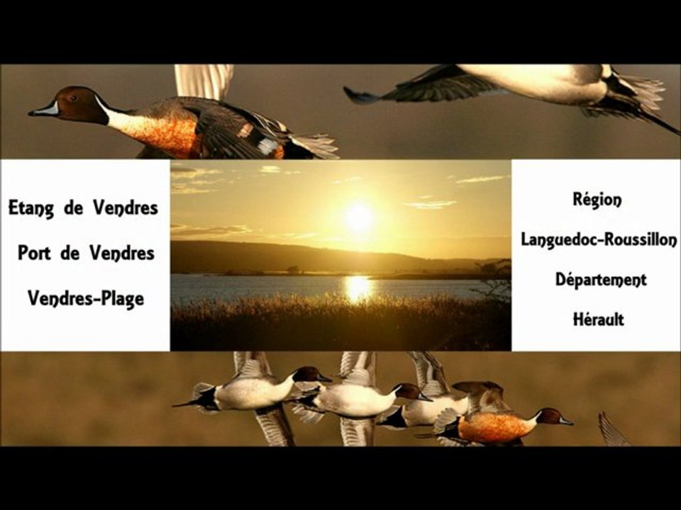 SUD DE FRANCE VENDRES ETANG PORT PLAGE HERAULT REGION LANGUEDOC-ROUSSILLON