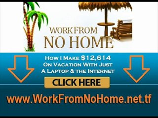 Bees swarm on airplane wing!