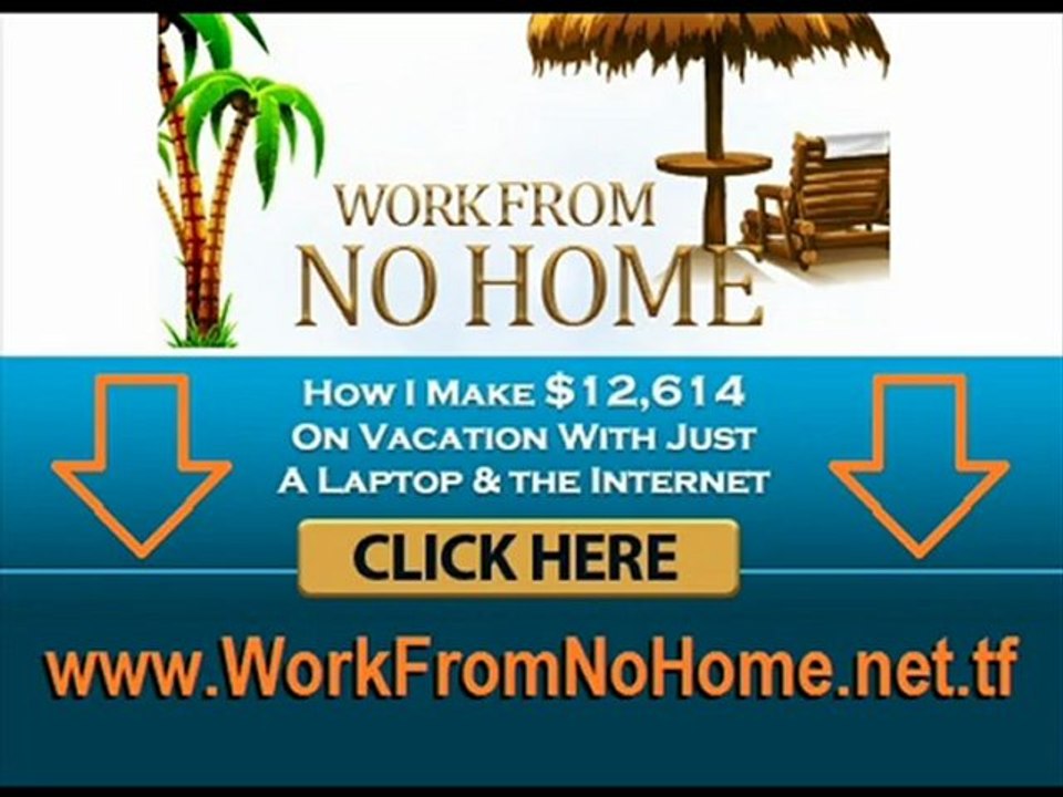 Bees swarm on airplane wing!