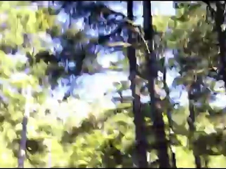 Trail de la Restonica