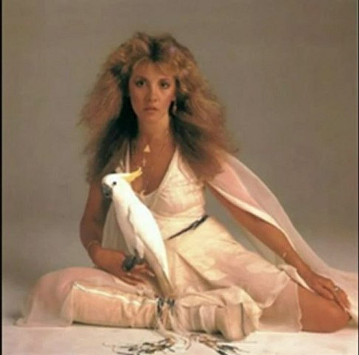 Unreleased - Stevie Nicks The Dealer (Mistress Of My Fate) (DJ Nolan Remix)