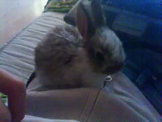 Crapule qui dort bizarement