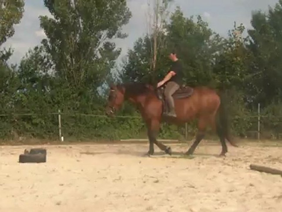 15.08.2012.f.cavaletti
