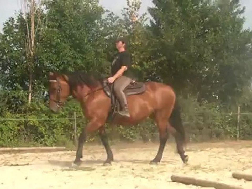 15.08.2012.h.cavaletti