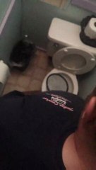 Faire pipi sur une raquette electrique