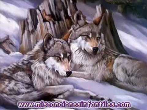 La Cancion infantil de 5 lobitos